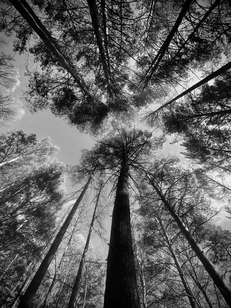 Photograph by Елена Федорова