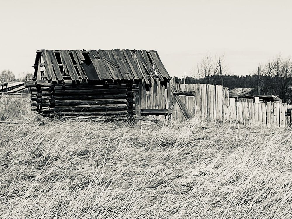 Photograph by Елена Федорова