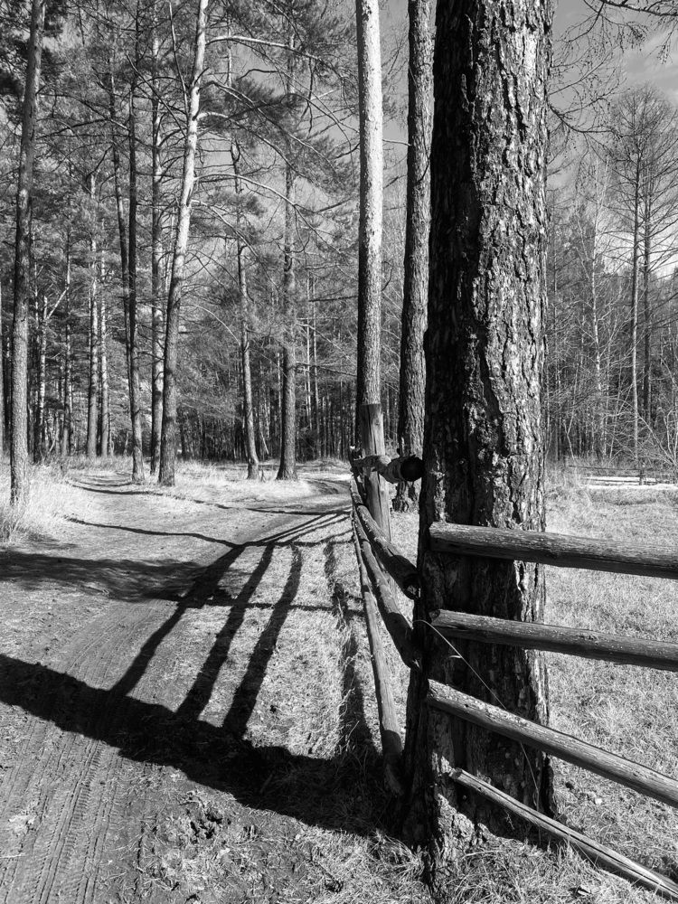 Photograph by Елена Федорова