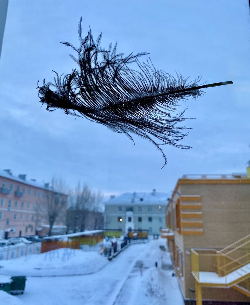 Photograph by Татьяна Шитлина