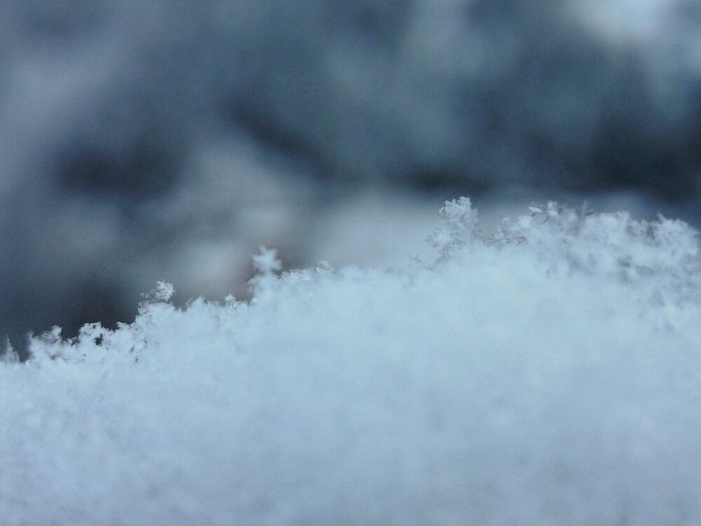 Extreme Macro of Individual Snow Crystals on a Snowy Surface