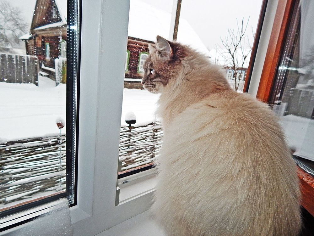 Photograph by Юрий Пучков