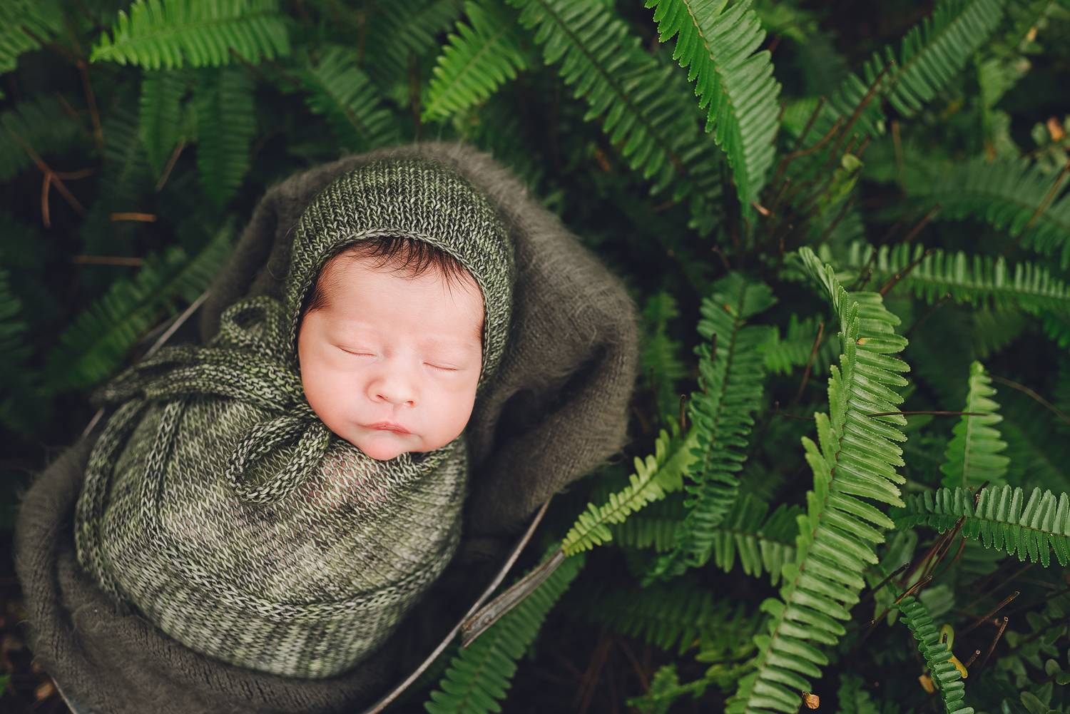 Wrapped in Green