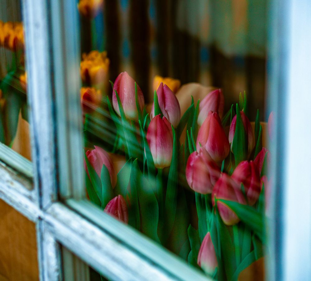 Photograph by Siarhei Saladukhin