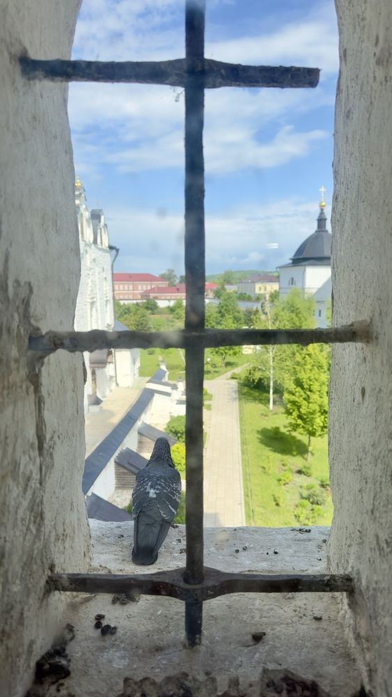 Photograph by Людмила Гордиенко