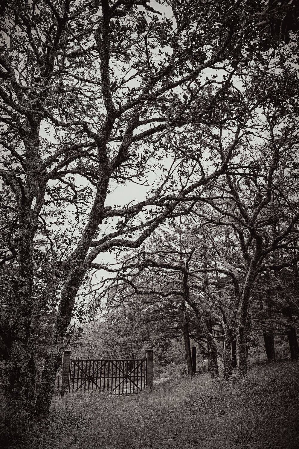 Photo #13521971