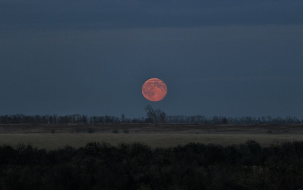Photograph by Мария Анатольевна Кузовлева