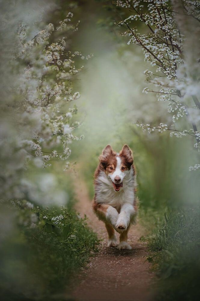 Photograph by Марина Чеботарева