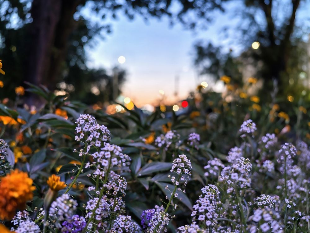 Photograph by Виктор Анциферов