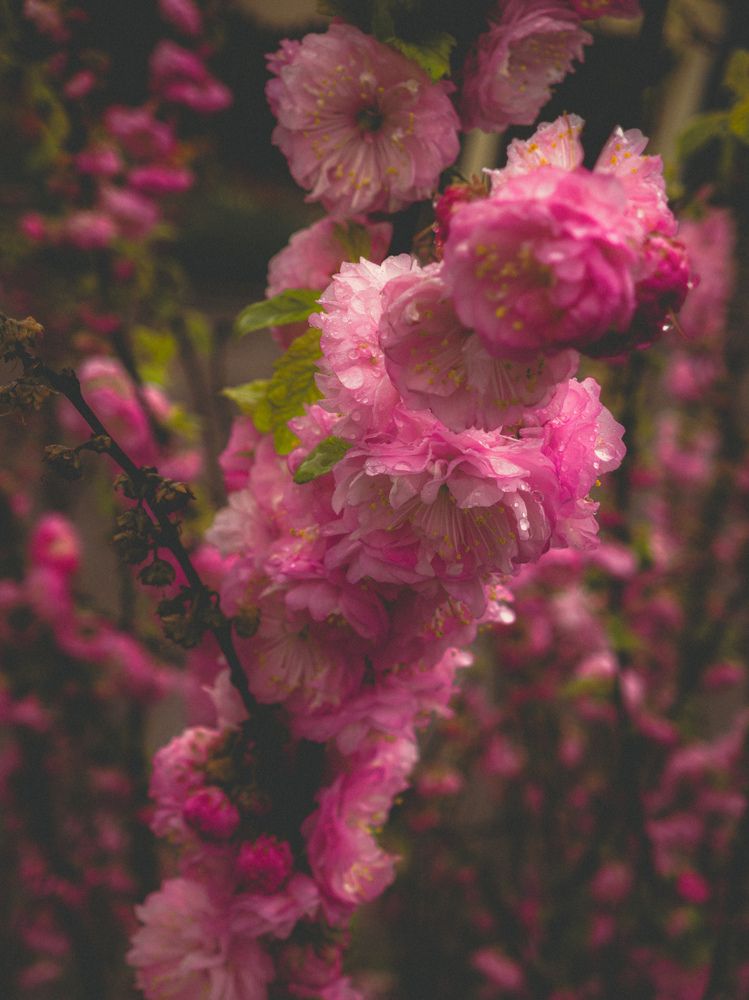 Photograph by Сергей Пыдык