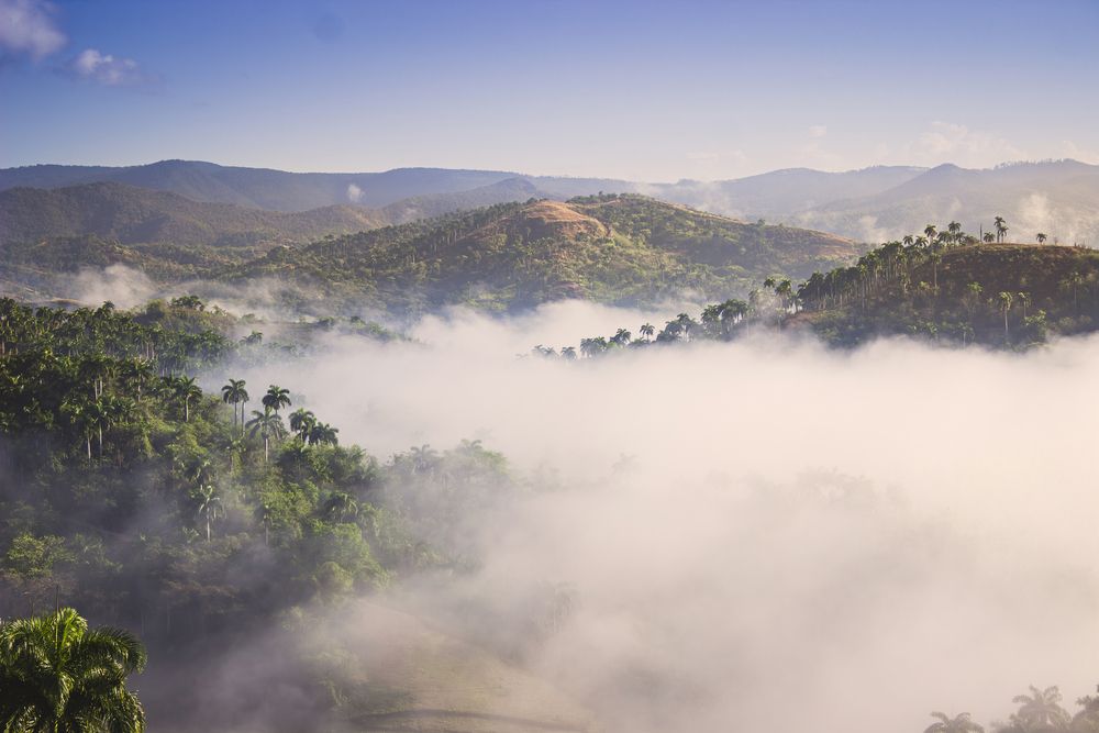 Photograph by Javier Calvo