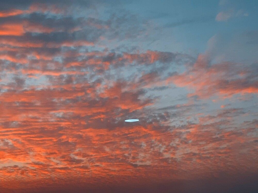 Photograph by Neel Bonna