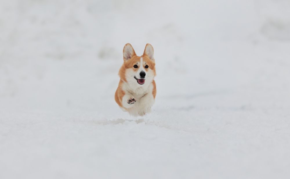 Photograph by Наталья Кирина