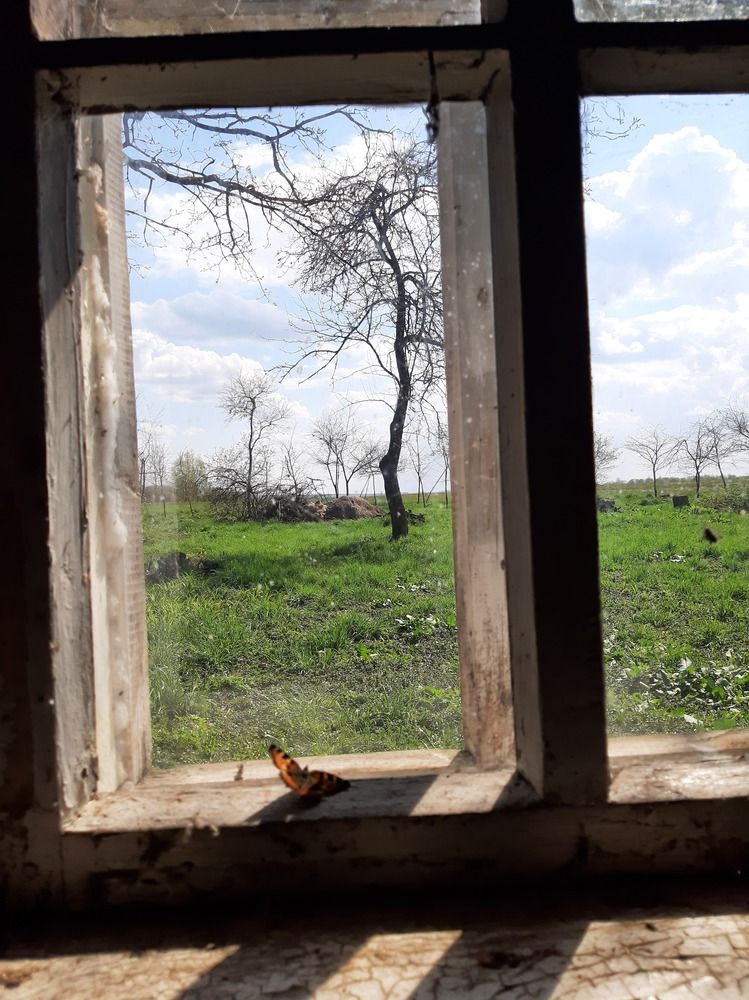Photograph by Анна Хмелькова