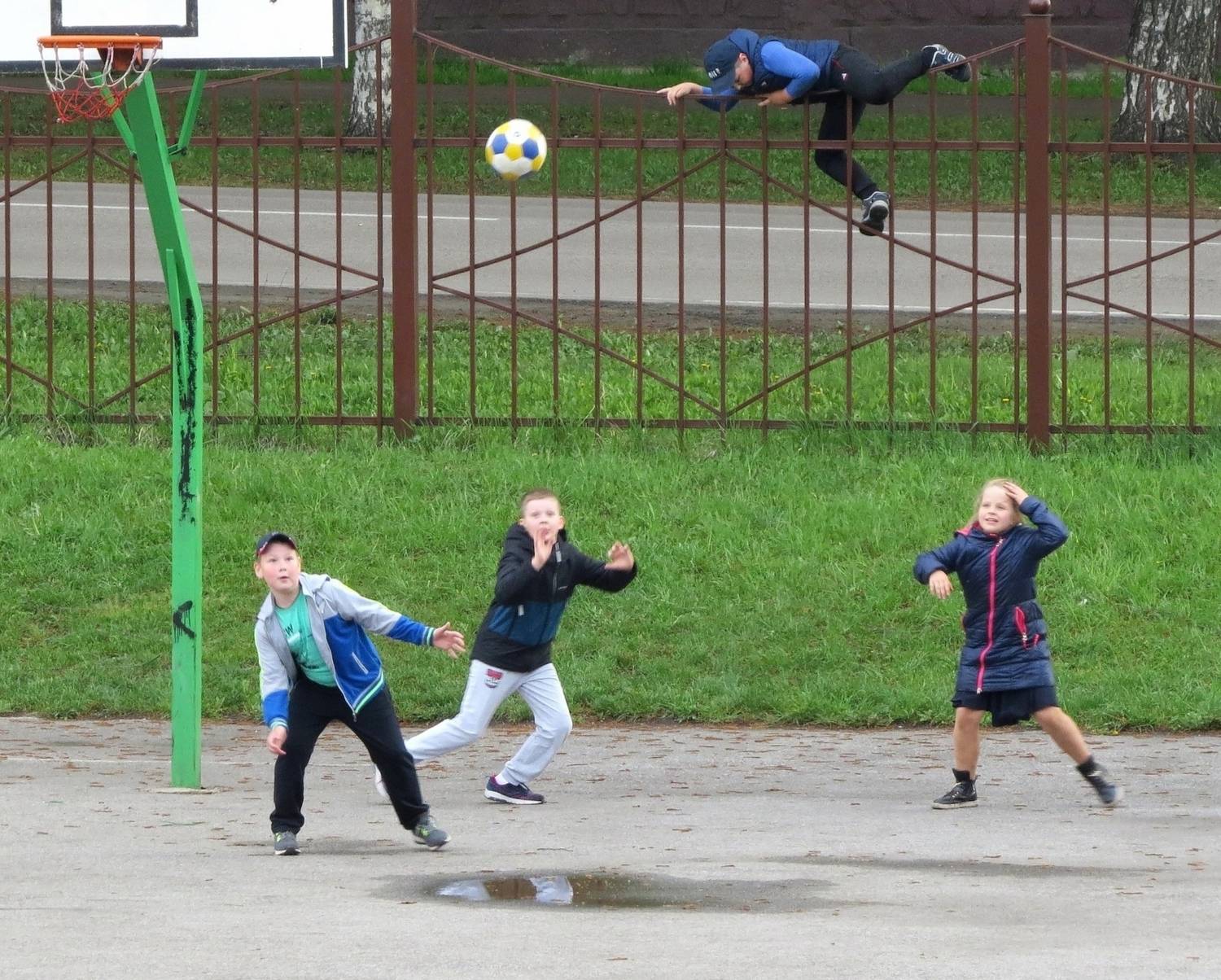 Photo #13522669