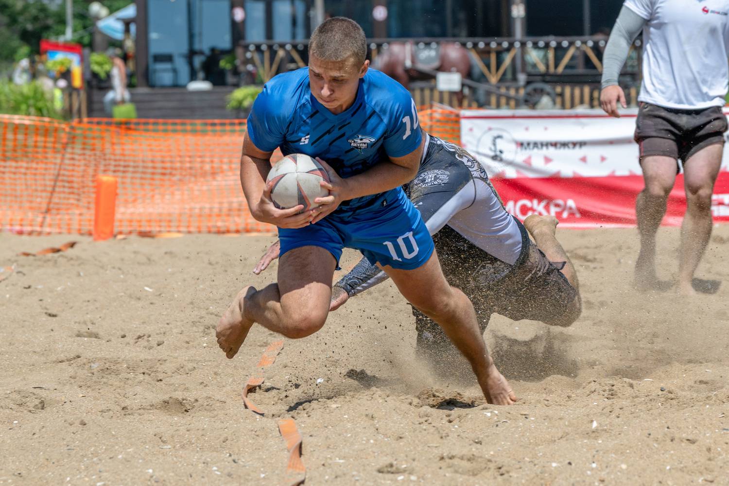 Фотография #13522676