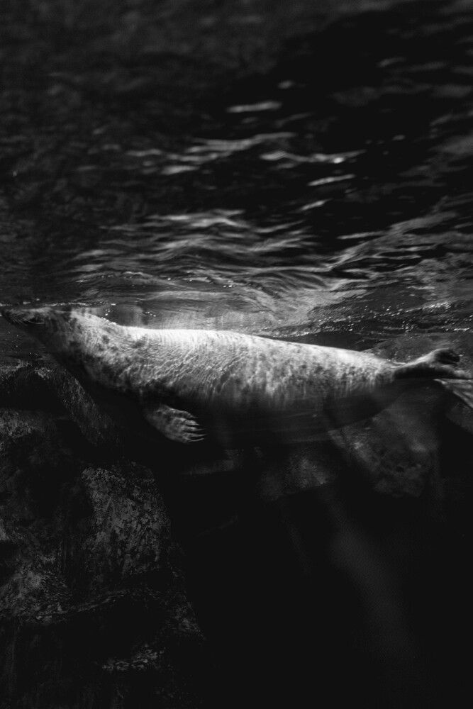 Photograph by Анастасия Воропаева