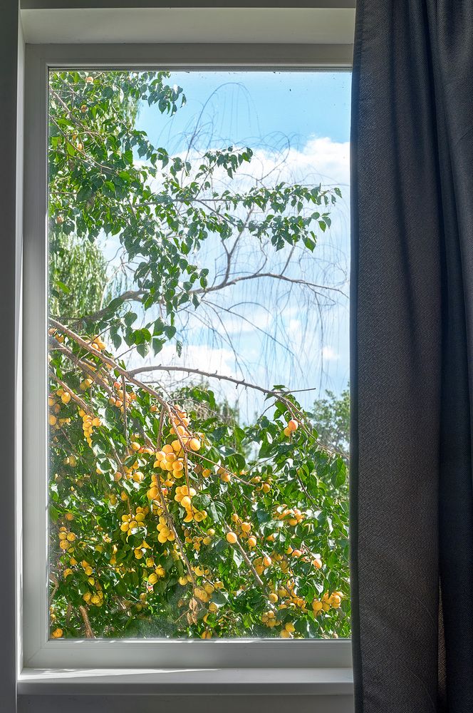 Photograph by Геннадий Суслов