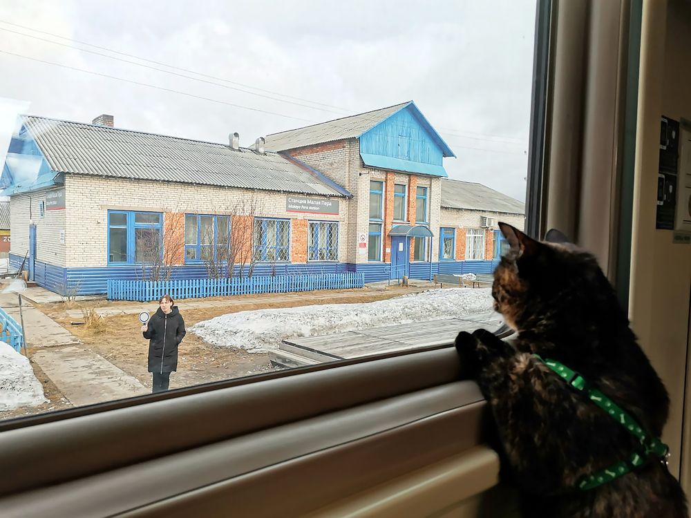Photograph by Наталья Колбина