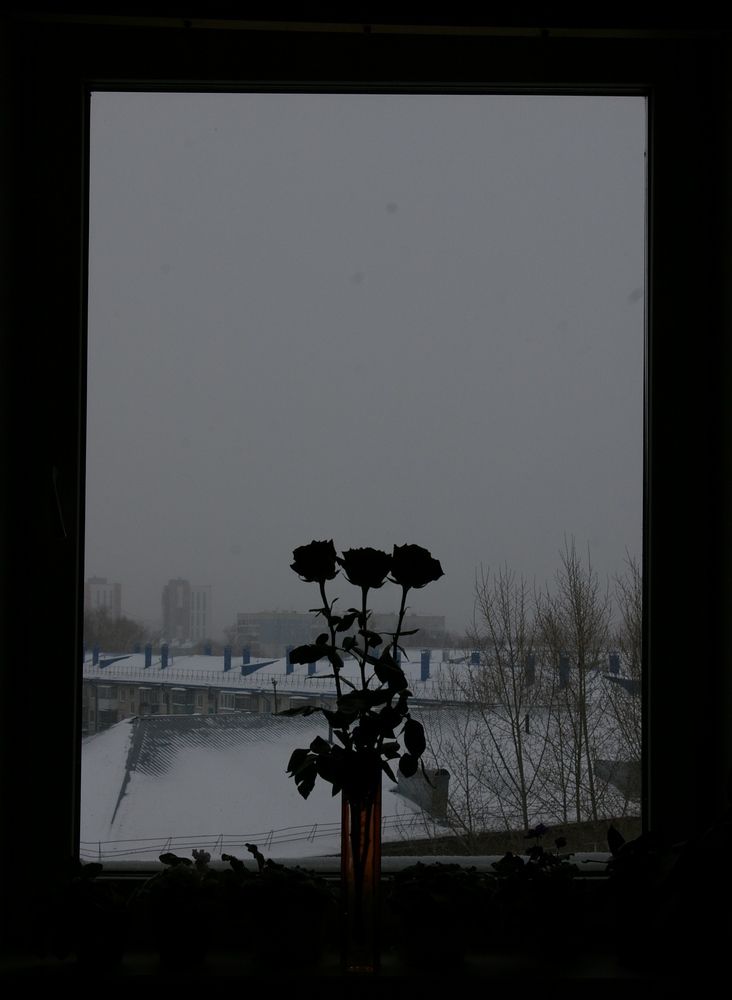 Photograph by Елена Алешкевич