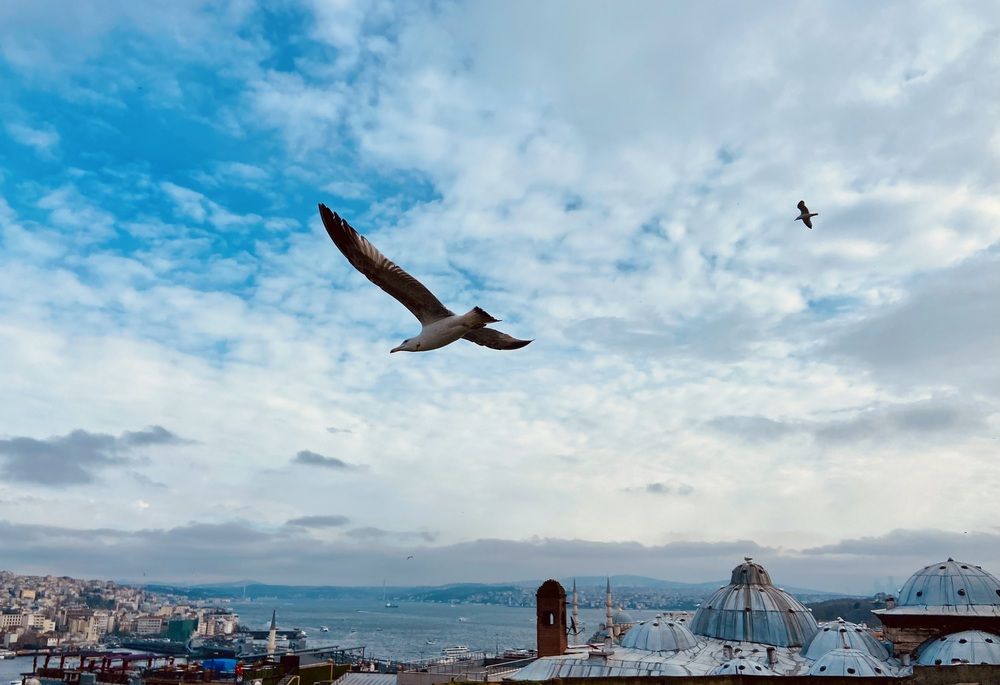 Photograph by Ольга Куркова
