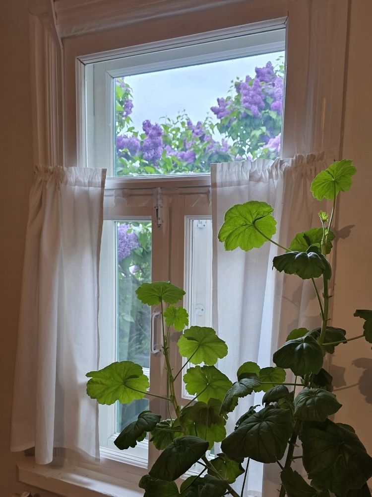 Photograph by Куделенко Оксана