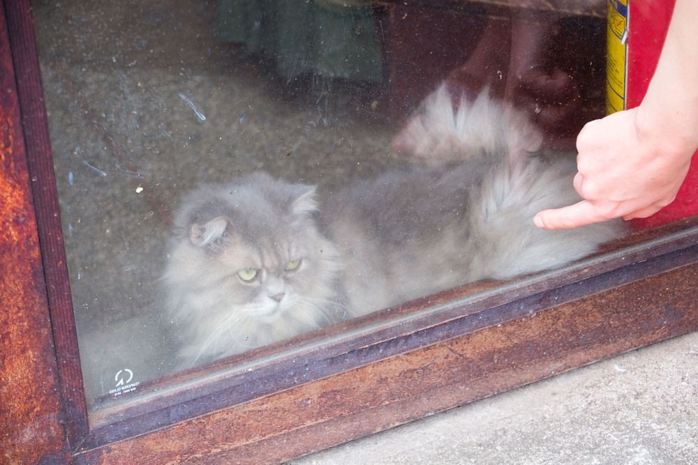 Photograph by Владимир Куликов