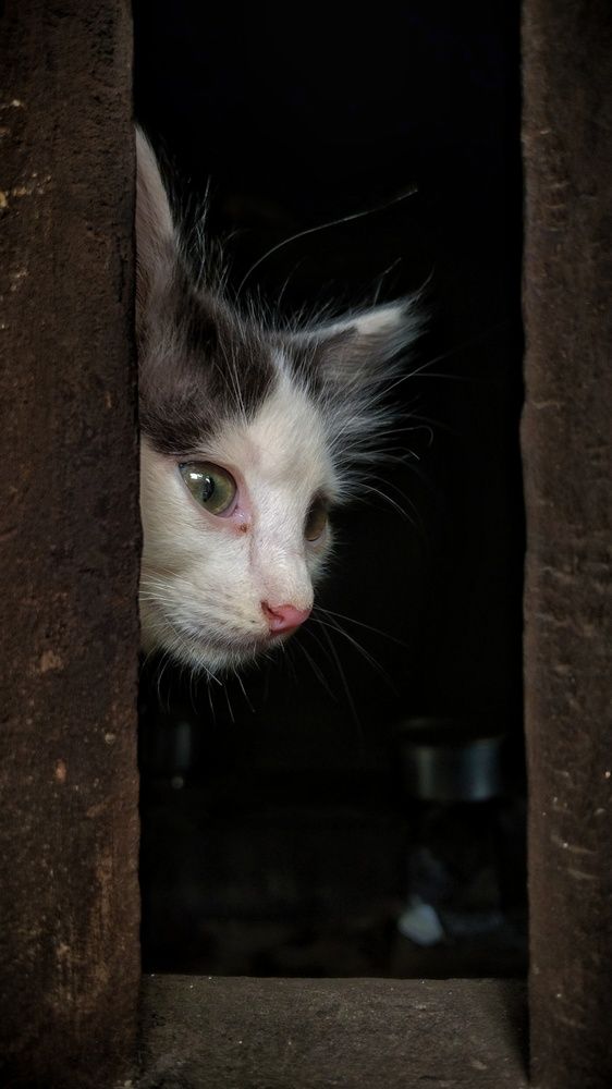 Photograph by Varsha Gatti