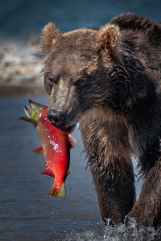 Photograph by Будьков Денис