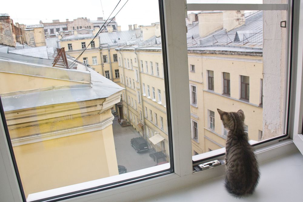 Photograph by Надежда Шурыгина
