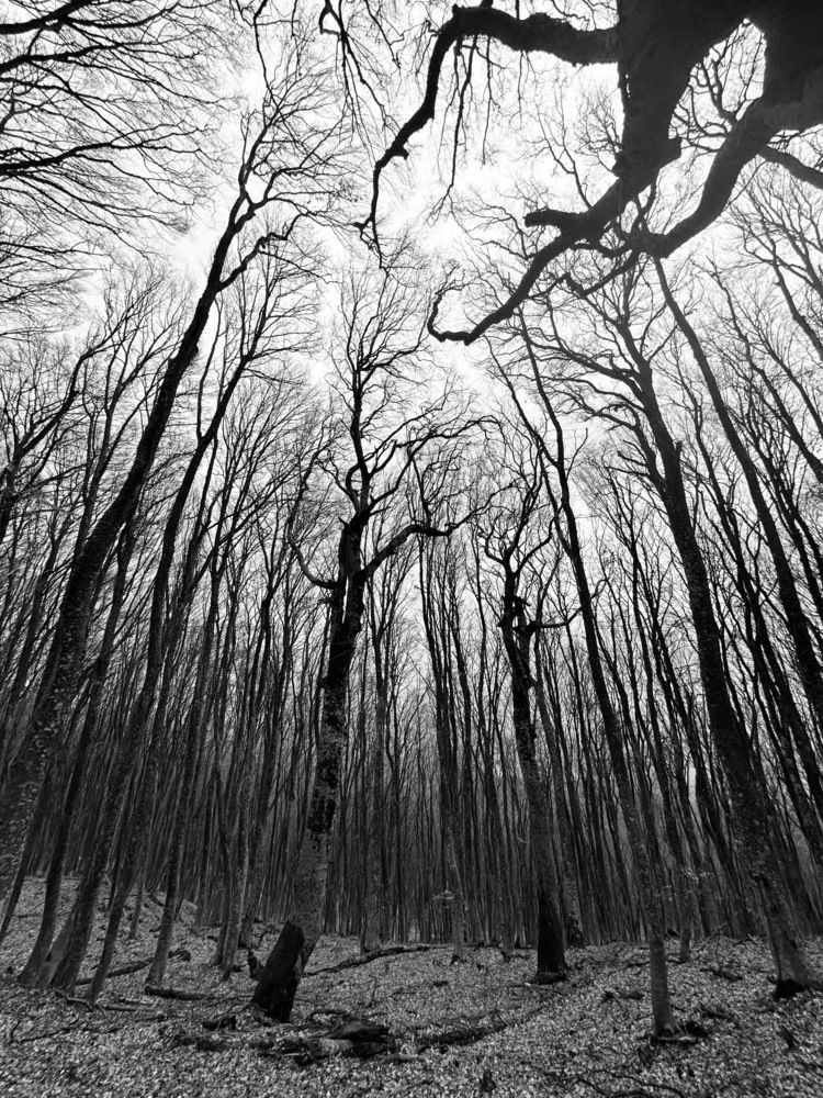 Photograph by Алексей Поляков
