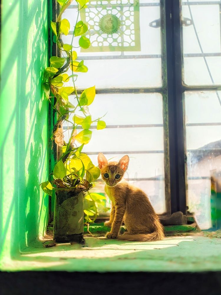 Photograph by Rohit Tonapi