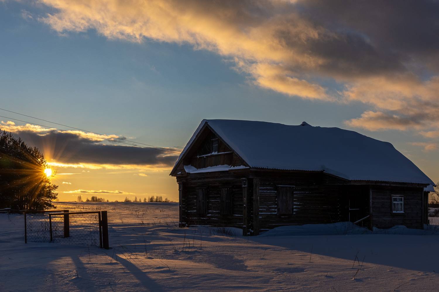 Photo #13523451