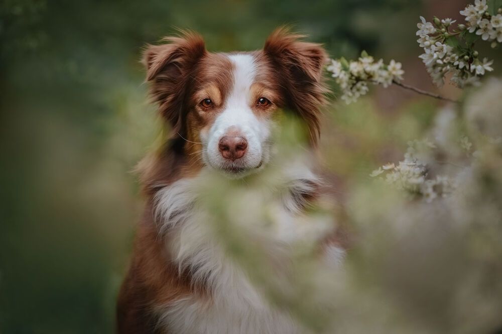 Photograph by Марина Чеботарева