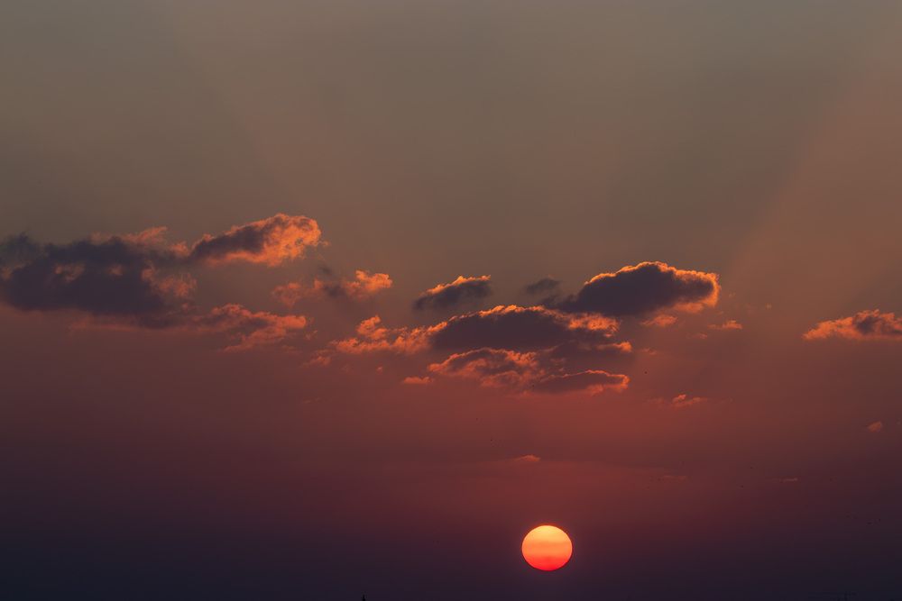 Photograph by Евгений Селезнев