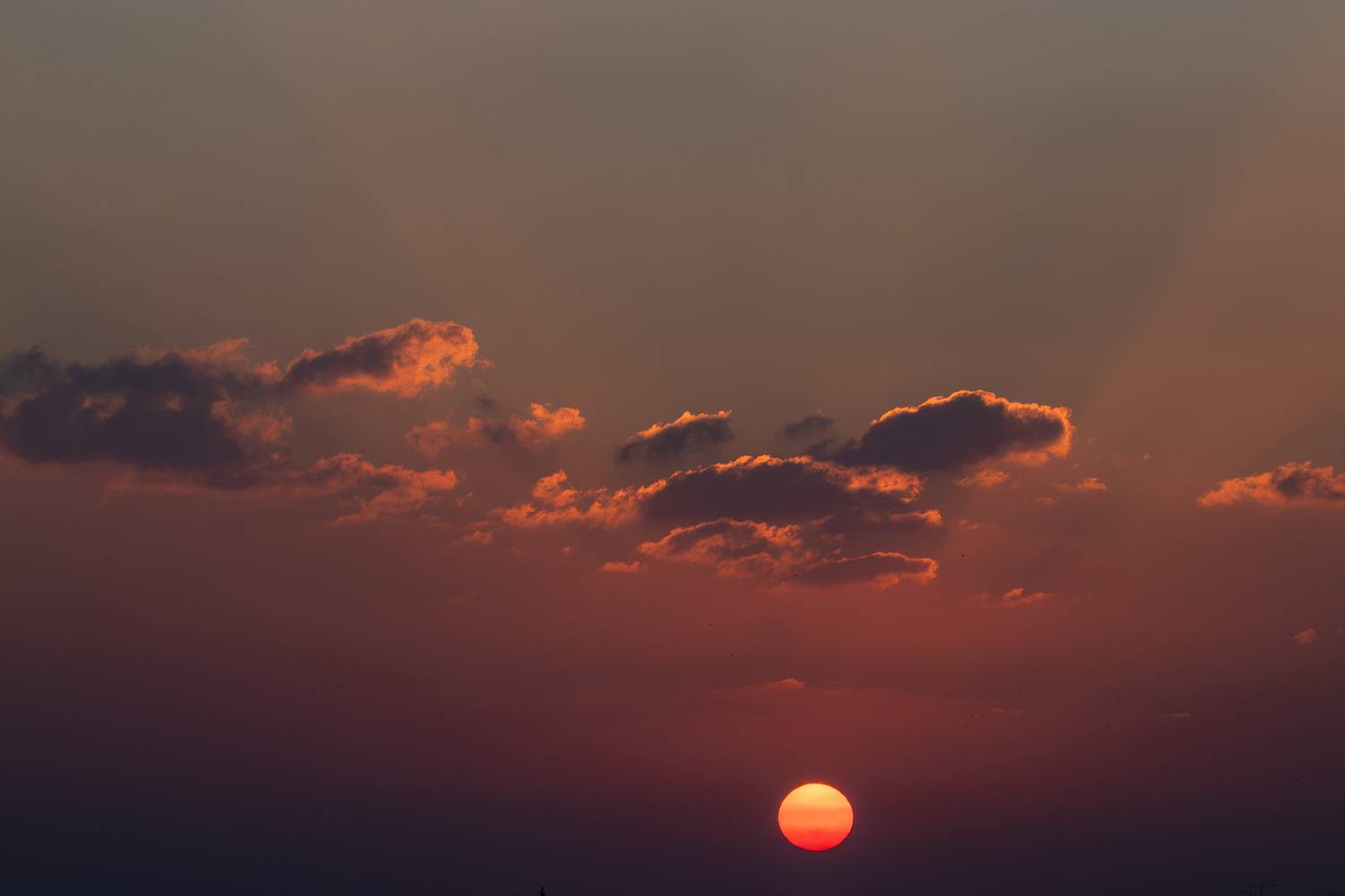 Photo #13523510