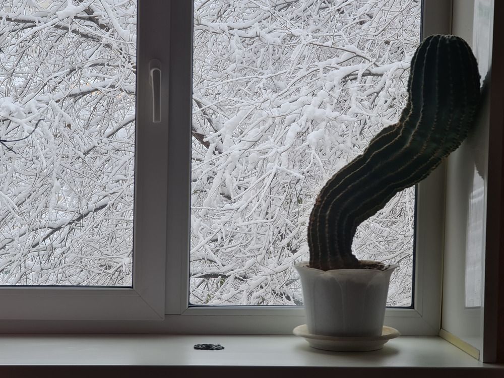 Photograph by Валентин Науменков