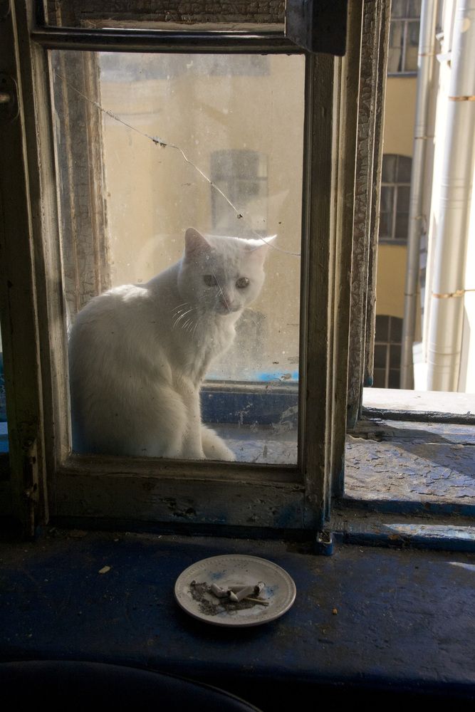 Photograph by Надежда Шурыгина
