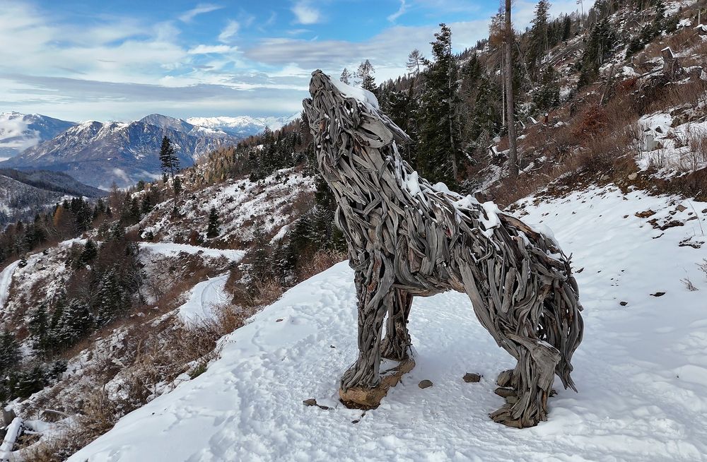 The she-wolf of the Dolomites