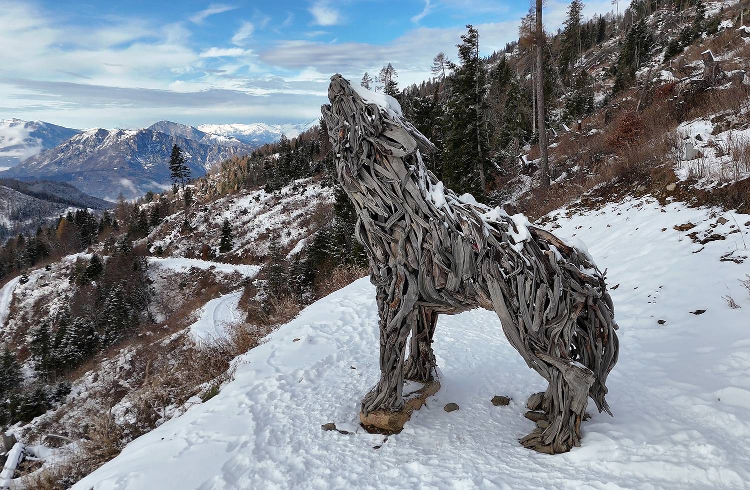 The she-wolf of the Dolomites