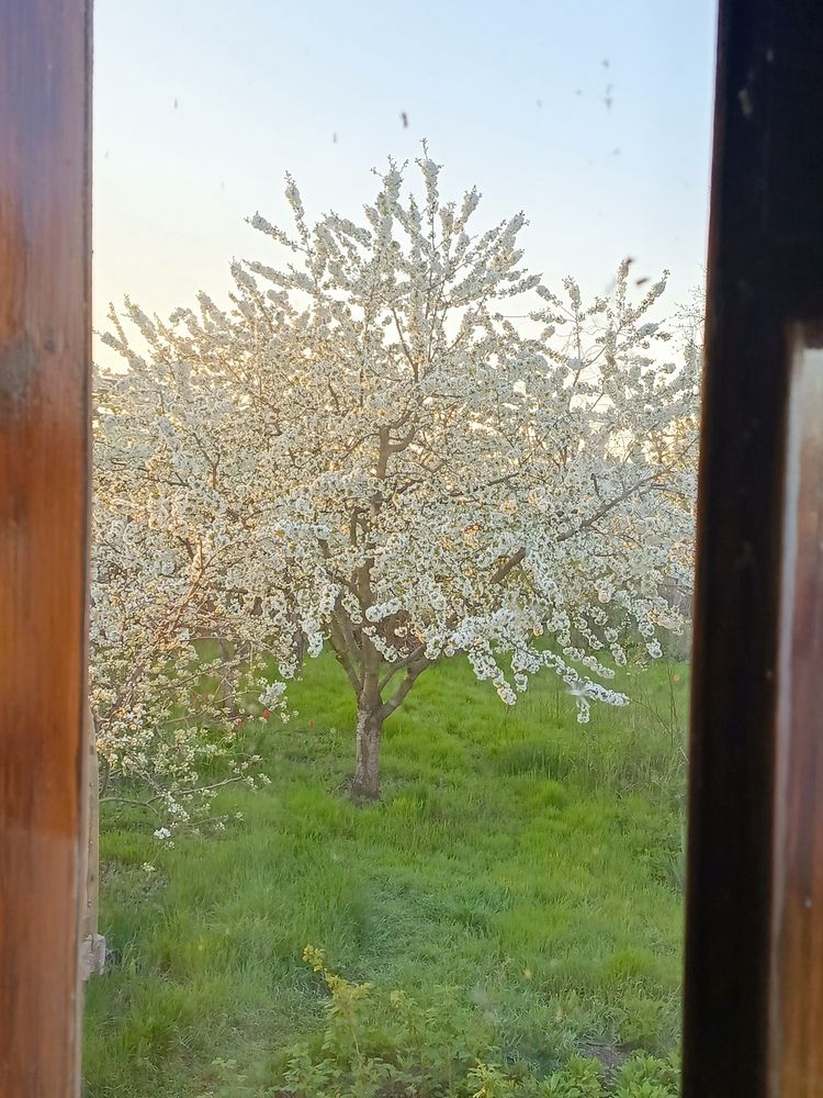 Фотография автора Татьяна Пальчикова