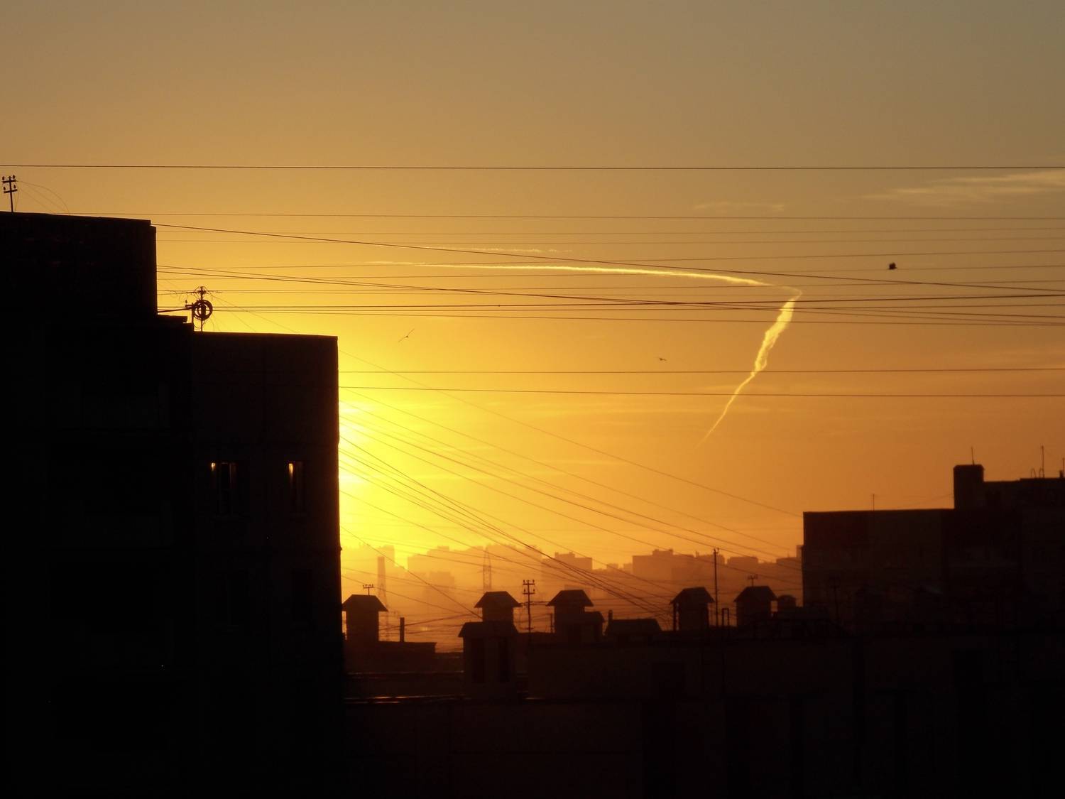 Photo #13523871