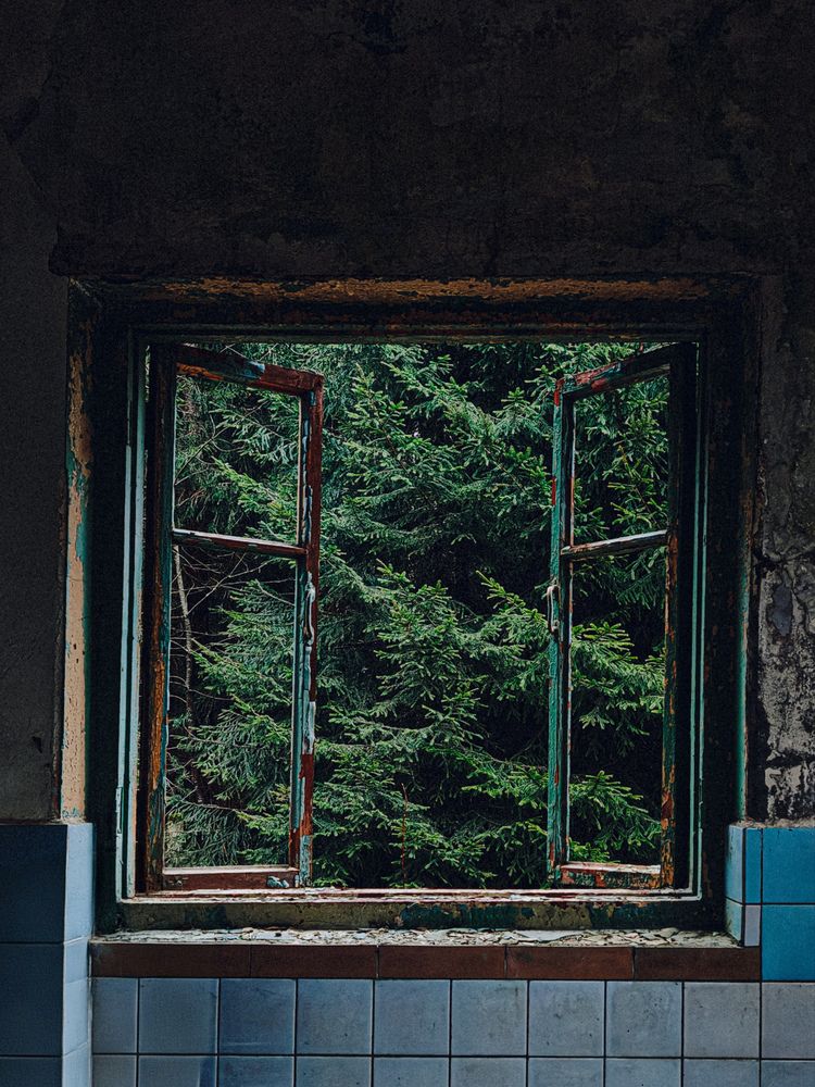 Photograph by Maria Stankevich