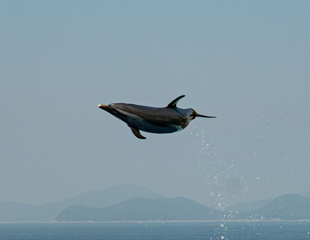 Photograph by Kuramochi Kunio