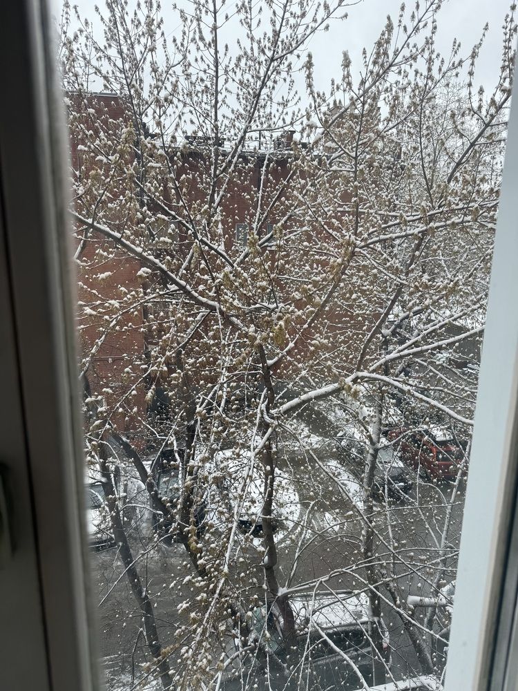 Photograph by Владислав Рубцов