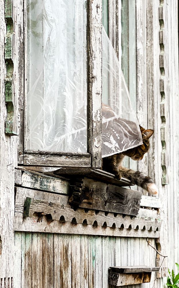 Photograph by Диана Минабутдинова