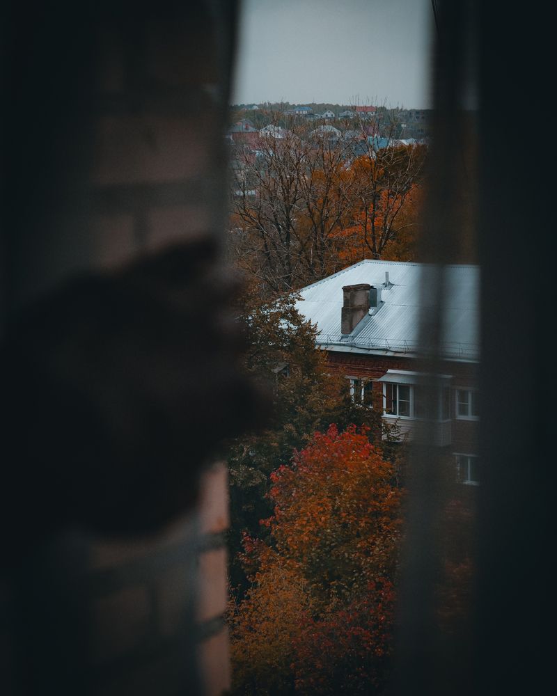 Photograph by Nikolai Nikolin