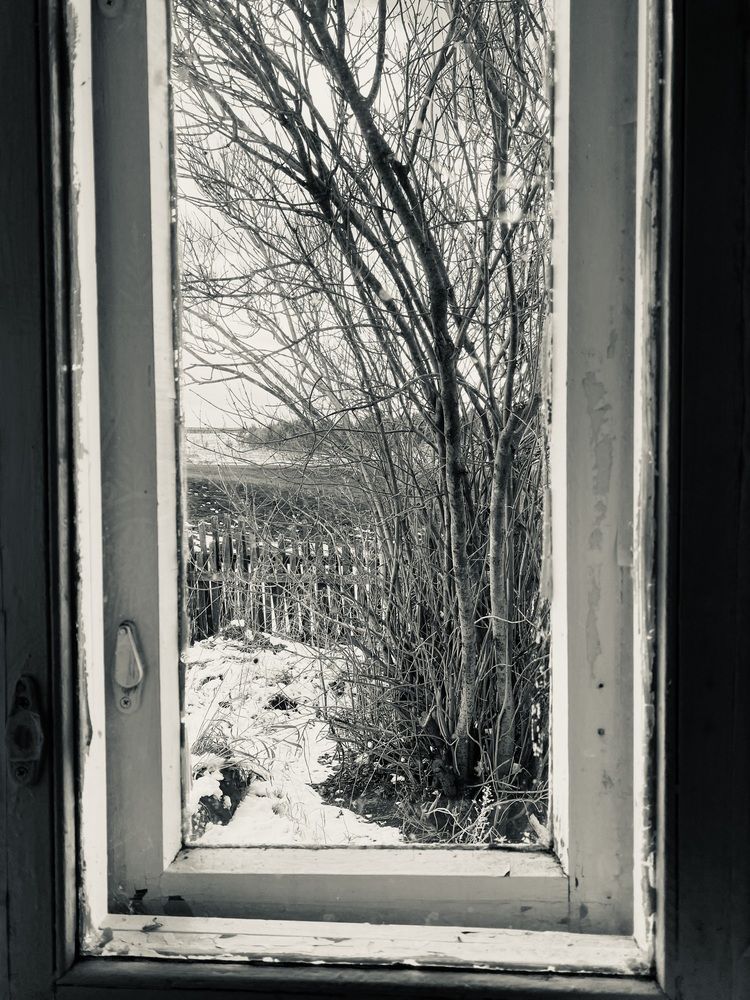 Photograph by Елена Федорова