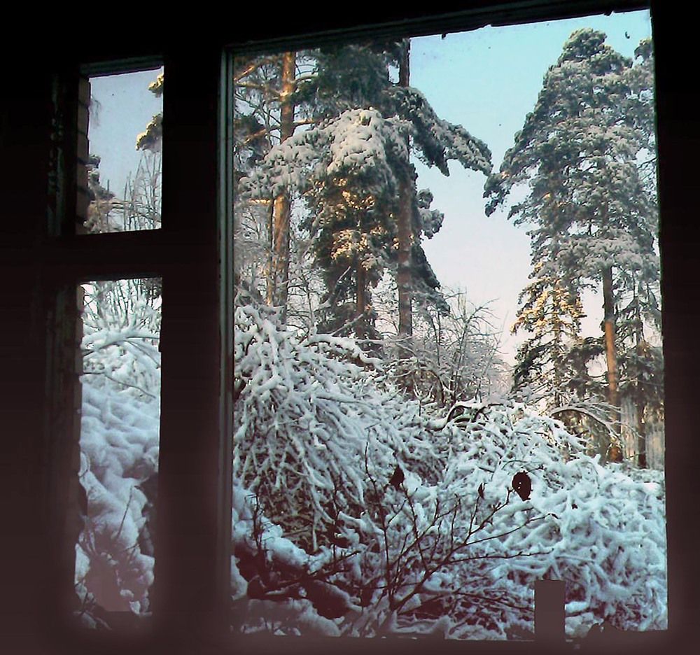 Photograph by Жучков Никита