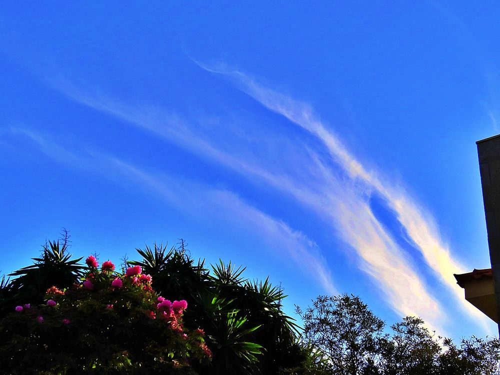 \"Flame\" clouds